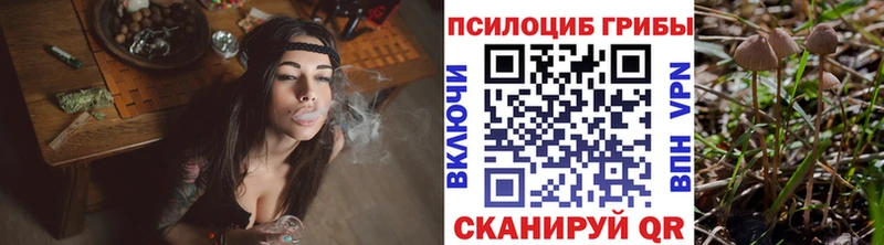 Галлюциногенные грибы Psilocybe блэк спрут ONION Зуевка